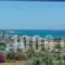 Studios Tasia_travel_packages_in_Cyclades Islands_Naxos_Naxos chora