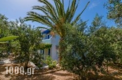 Golden Beach Studios in Paros Chora, Paros, Cyclades Islands