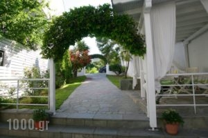 Anatoli_lowest prices_in_Hotel_Macedonia_Halkidiki_Haniotis - Chaniotis