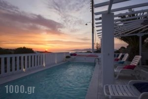 Amaryllis Apartments & Studios_accommodation_in_Apartment_Cyclades Islands_Mykonos_Mykonos ora