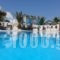 Pension Livadaros_best prices_in_Hotel_Cyclades Islands_Sandorini_Sandorini Chora