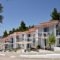 Milia Apartments_accommodation_in_Apartment_Sporades Islands_Skopelos_Skopelos Chora