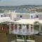 Adonis Hotel Studios & Apartments_best deals_Apartment_Cyclades Islands_Paros_Paros Chora