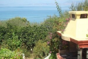 Villa Pelagia_holidays_in_Villa_Ionian Islands_Corfu_Corfu Rest Areas