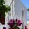 Villa Kapare_lowest prices_in_Villa_Crete_Chania_Vamos