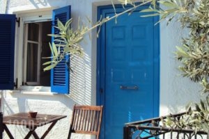 Villa Orizontes_holidays_in_Villa_Piraeus Islands - Trizonia_Spetses_Spetses Chora