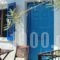 Villa Orizontes_holidays_in_Villa_Piraeus Islands - Trizonia_Spetses_Spetses Chora