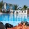 Pension Livadaros_holidays_in_Hotel_Cyclades Islands_Sandorini_Sandorini Chora