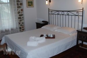 Dryades Guesthouse_accommodation_in_Hotel_Central Greece_Aetoloakarnania_Platanos