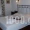 Dryades Guesthouse_accommodation_in_Hotel_Central Greece_Aetoloakarnania_Platanos