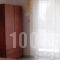Villa Gesthimani_best deals_Villa_Macedonia_Halkidiki_Neos Marmaras