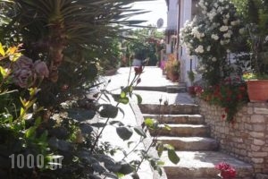 Hotel Pighi_best deals_Hotel_Macedonia_Halkidiki_Kassandreia