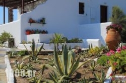 Studios Fivos in Paros Chora, Paros, Cyclades Islands