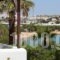 Studios Fivos_best deals_Hotel_Cyclades Islands_Paros_Paros Chora