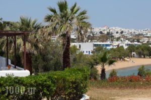 Studios Fivos_lowest prices_in_Hotel_Cyclades Islands_Paros_Paros Chora