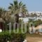 Studios Fivos_lowest prices_in_Hotel_Cyclades Islands_Paros_Paros Chora