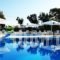 Hotel Lodos_holidays_in_Hotel_Cyclades Islands_Sandorini_Sandorini Chora