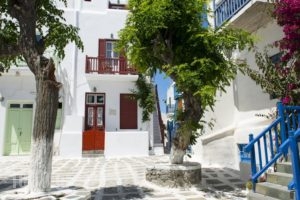 Alana_accommodation_in_Hotel_Cyclades Islands_Mykonos_Mykonos Chora