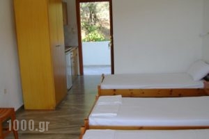 Diamantis Studios_lowest prices_in_Hotel_Sporades Islands_Skiathos_Skiathos Chora