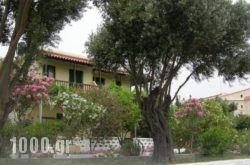 Studio Popi in Marathokambos, Samos, Aegean Islands