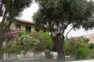 Studio Popi_accommodation_in_Hotel_Aegean Islands_Samos_Marathokambos