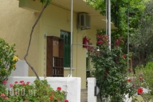 Studio Popi_holidays_in_Hotel_Aegean Islands_Samos_Marathokambos