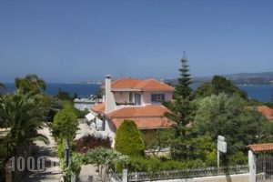 Villa Tzivras_accommodation_in_Villa_Ionian Islands_Kefalonia_Argostoli