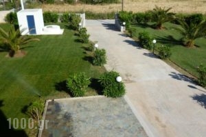 Achilli Apartments_best prices_in_Apartment_Sporades Islands_Skyros_Skyros Chora