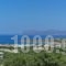 Villa Stefania_lowest prices_in_Villa_Crete_Chania_Galatas