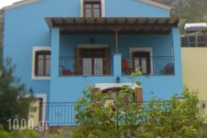 Blue Villa_accommodation_in_Villa_Dodekanessos Islands_Kalimnos_Kalimnos Chora