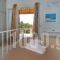 Studio Tasos_holidays_in_Hotel_Ionian Islands_Paxi_Paxi Chora