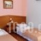 Parthenis Hotel_best deals_Hotel_Central Greece_Attica_Vari