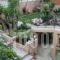 Anastasis Apartments_best deals_Apartment_Ionian Islands_Kefalonia_Vlachata