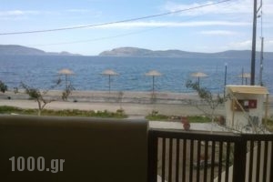 Ktima Develekou_lowest prices_in_Hotel_Peloponesse_Argolida_Kranidi