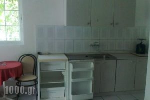 Hotel Areti_lowest prices_in_Hotel_Macedonia_Pieria_Paralia Panteleimonas