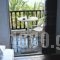 Alexandros Apartments_best deals_Apartment_Macedonia_Halkidiki_Nea Moudania