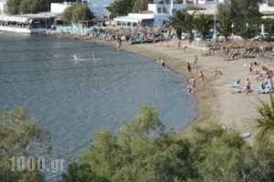 Voutsinou Apartments_holidays_in_Apartment_Cyclades Islands_Syros_Syrosst Areas