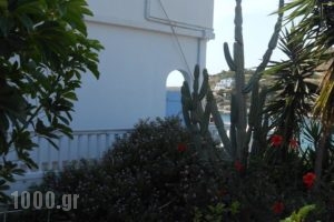 Voutsinou Apartments_best deals_Apartment_Cyclades Islands_Syros_Syrosst Areas