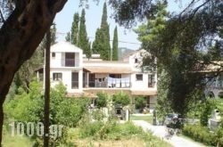 Georgina Apartments in Corfu Rest Areas, Corfu, Ionian Islands