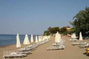 Bungalows Camping Kouyoni_holidays_in_Hotel_Macedonia_Halkidiki_Poligyros