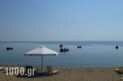 Bungalows Camping Kouyoni in Poligyros, Halkidiki, Macedonia