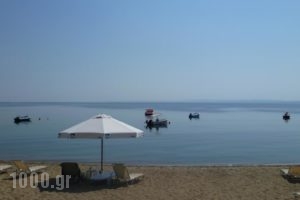 Bungalows Camping Kouyoni_accommodation_in_Hotel_Macedonia_Halkidiki_Poligyros