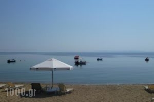 Bungalows Camping Kouyoni_accommodation_in_Hotel_Macedonia_Halkidiki_Poligyros