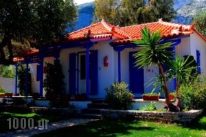 White Rock Apartments_best deals_Apartment_Aegean Islands_Samos_Marathokambos