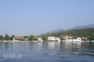 Anastasia_holidays_in_Hotel_Thessaly_Magnesia_Almiros