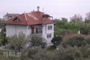 Anastasia_accommodation_in_Hotel_Thessaly_Magnesia_Almiros