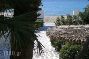 Avra Palm_holidays_in_Hotel_Crete_Lasithi_Koutsounari