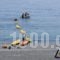 Calypso_best deals_Hotel_Crete_Chania_Sfakia