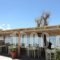 Nissaki Beach Hotel_best prices_in_Hotel_Cyclades Islands_Naxos_Naxos chora