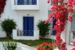 Allegria Family Hotel in Andros Chora, Andros, Cyclades Islands